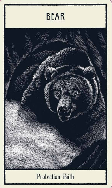 untamed-spirit-animal-oracle-card-deck-bear