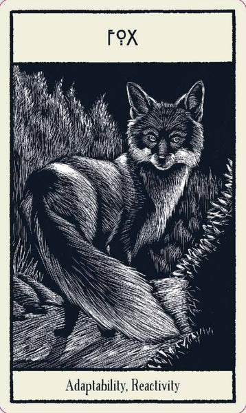 untamed-spirit-animal-oracle-card-deck-fox