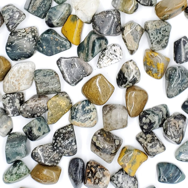 orbicular ocean jasper gemstones