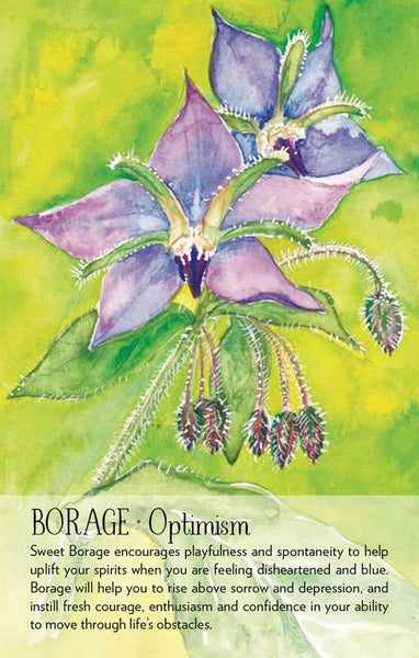 Soulflower Plant Spirit Oracle | Wisdom of Plant Spirits & Tend the Garden of your Soul | Painted Art | 44 Card Deck & Booklet