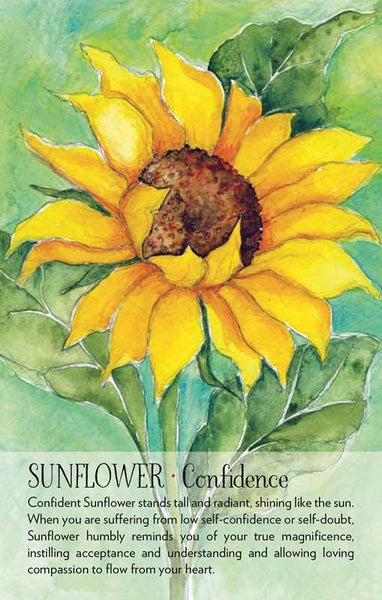 Soulflower Plant Spirit Oracle | Wisdom of Plant Spirits & Tend the Garden of your Soul | Painted Art | 44 Card Deck & Booklet