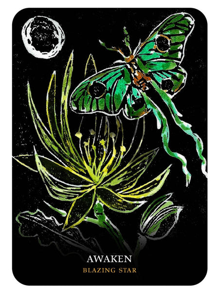 flowers-of-the-night-oracle-cards-deck-awaken