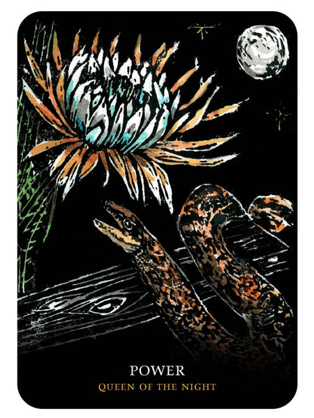 flowers-of-the-night-oracle-cards-deck-power