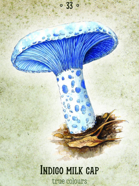 mushroom-oracle-card-deck-tarot-indigo-cap