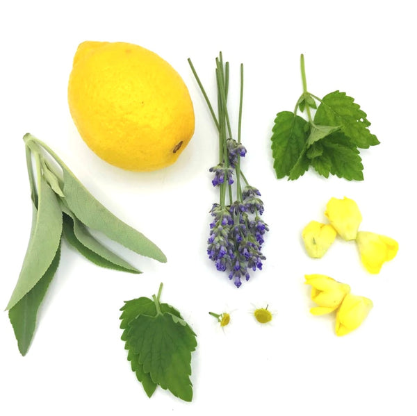 new_direction_smudge_sprays_lemon_lavender_flowers