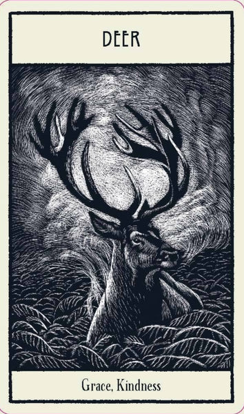 untamed-spirit-animal-oracle-card-deck-deer