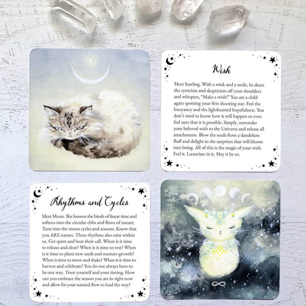 witch_cats_oracle_tarot_cards_deck_cat_lovers