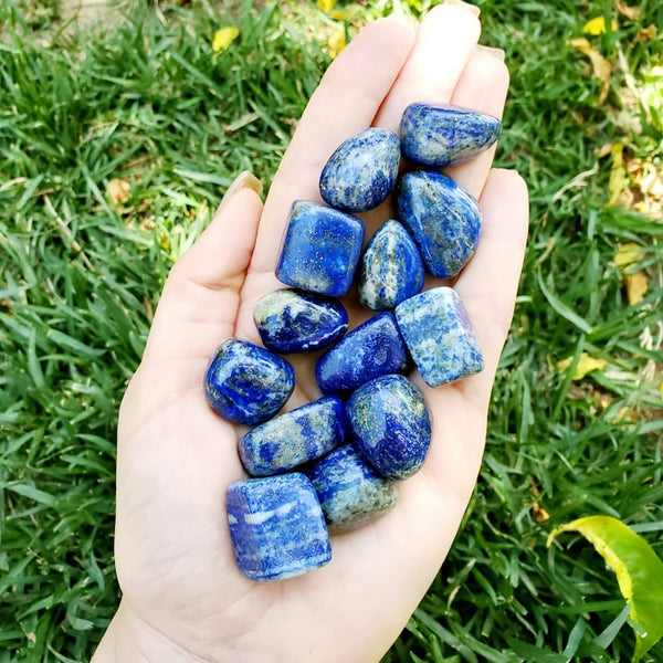 Lapis Lazuli | Tumbled Stone | Blue-Indigo Crystals | Choose How Many