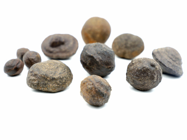 large_size_real_moqui_marbles_from_Southern_utah