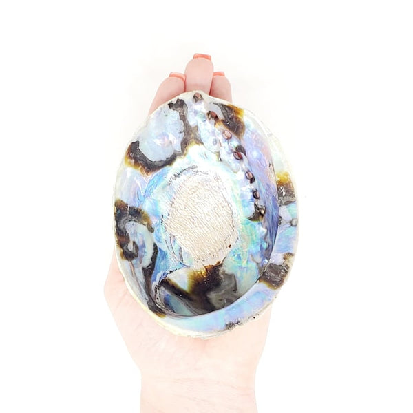 Large Abalone Shell with Wooden Tripod Stand | Rainbow Seashell Smudging Bowl