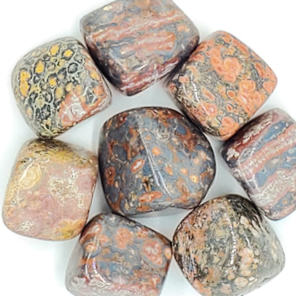 large tumbled leopard skin jasper stones