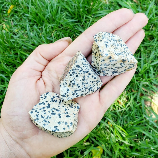 natural raw dalmatian jasper stones