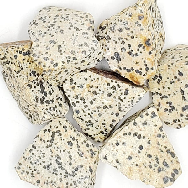 natural rough dalmatian jasper gemstones
