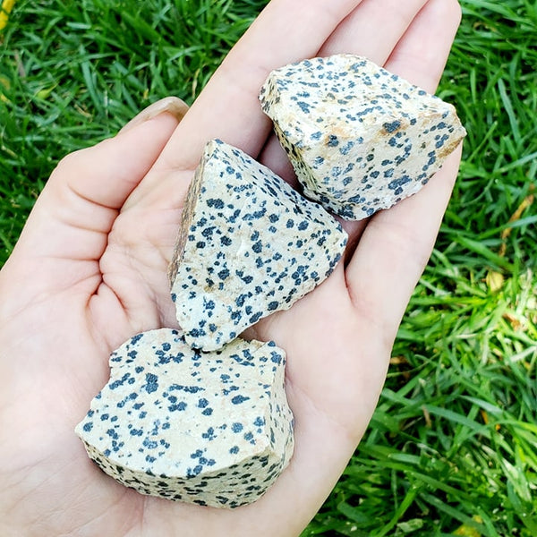 natural rough dalmatian jasper stones