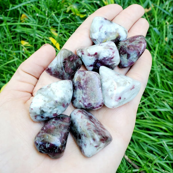 Ruby Tourmaline | Pink Tourmaline Crystals | Tumbled Stone | Crystal Healing | Choose How Many
