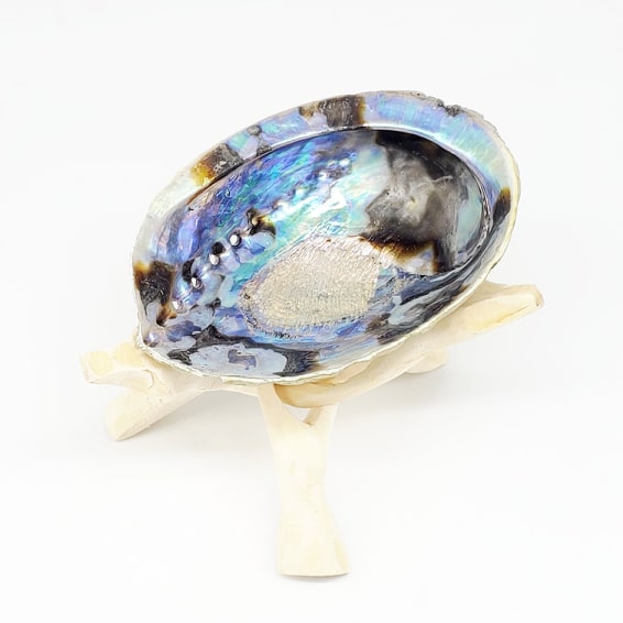 Large Abalone Shell with Wooden Tripod Stand | Rainbow Seashell Smudging Bowl