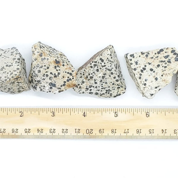 raw dalmatian jasper stones