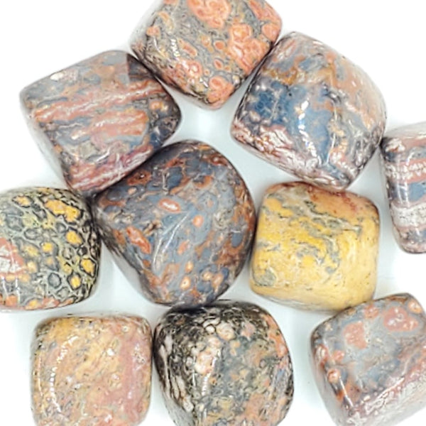 tumbled leopard skin jasper stones