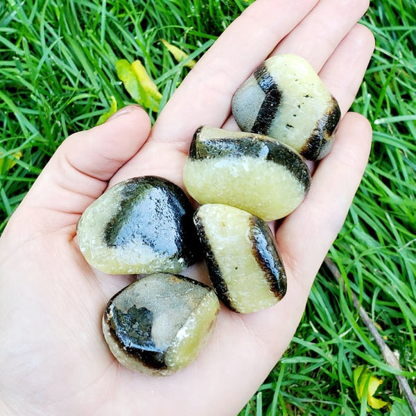 yellow and brown septarian stones